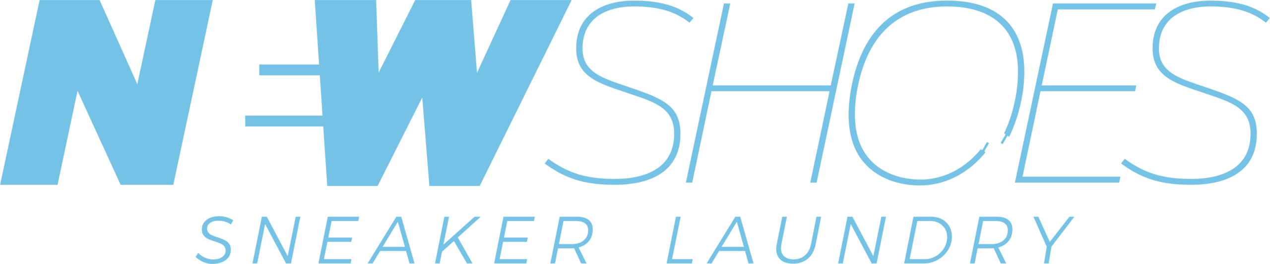 NewShoes Chile | Limpieza Profesional de Zapatillas y Sneaker Laundry